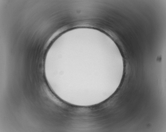 X0000113091238200910091249