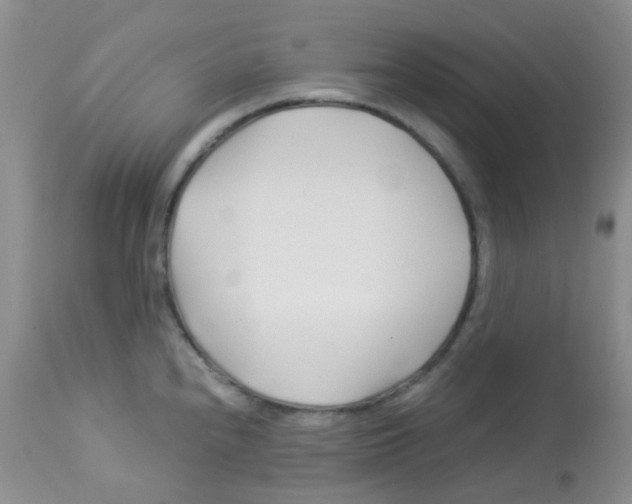 X0000113091240200910091249
