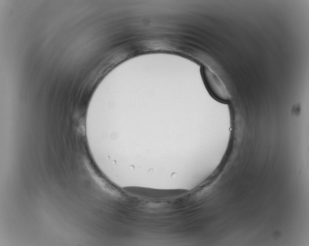X0000113091241200910091249