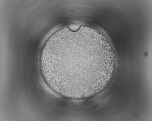 X0000113091243200910091249