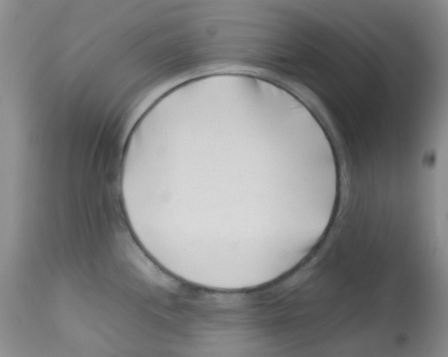 X0000113091244200910091249