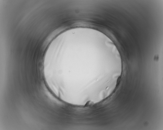 X0000113091247200910091249