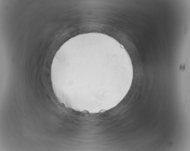 X0000113091249200910091248
