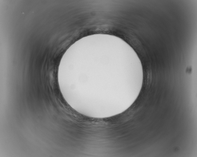X0000113091250200910091248