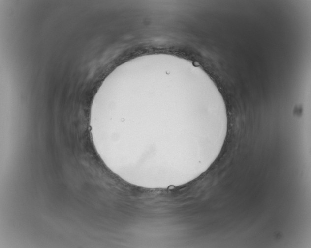 X0000113091253200910091248