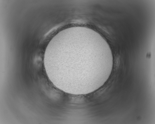 X0000113091254200910091248