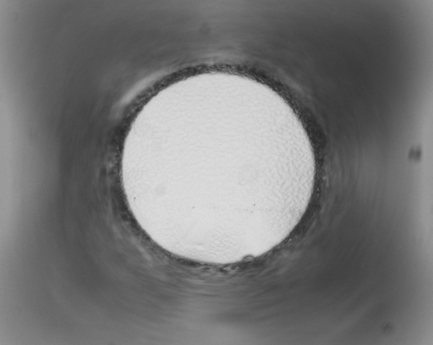 X0000113091255200910091248