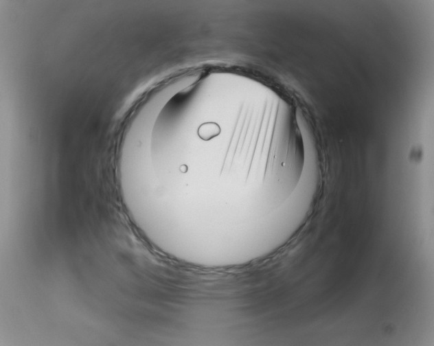 X0000113091256200910091248