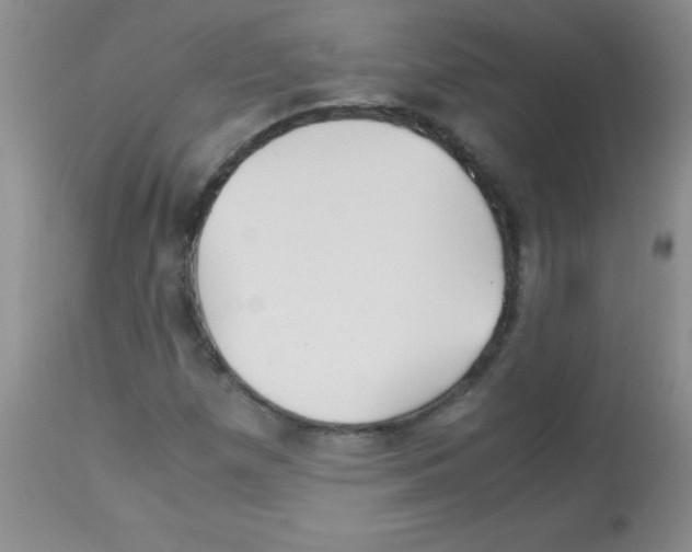 X0000113091257200910091248