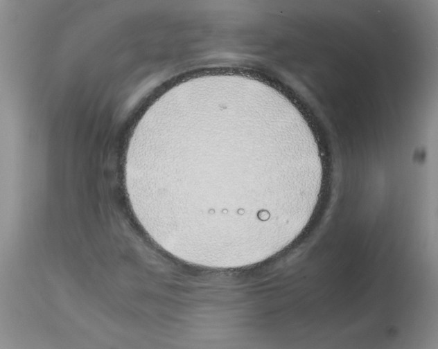 X0000113091259200910091248