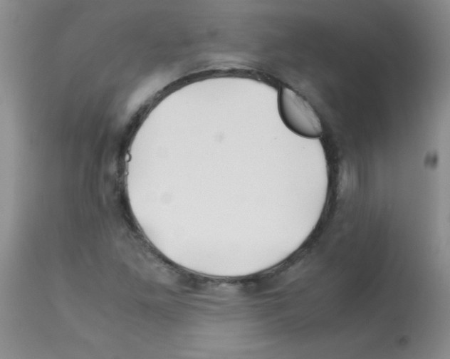X0000113091261200910091248
