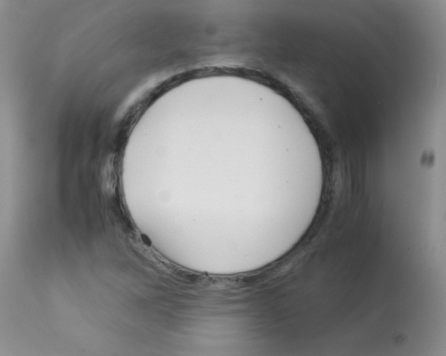 X0000113091262200910091248