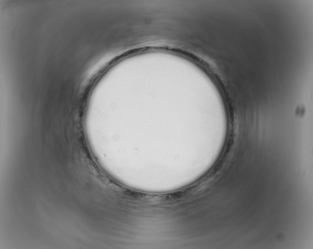 X0000113091263200910091248
