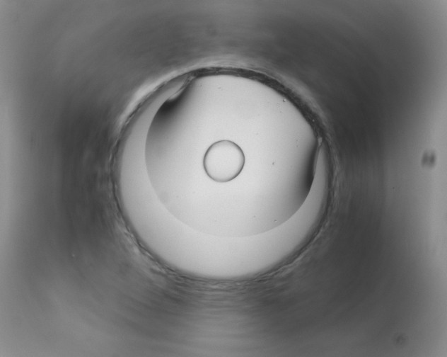 X0000113091264200910091248