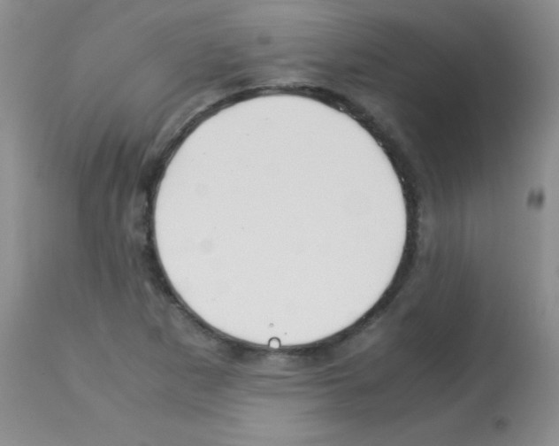 X0000113091265200910091248