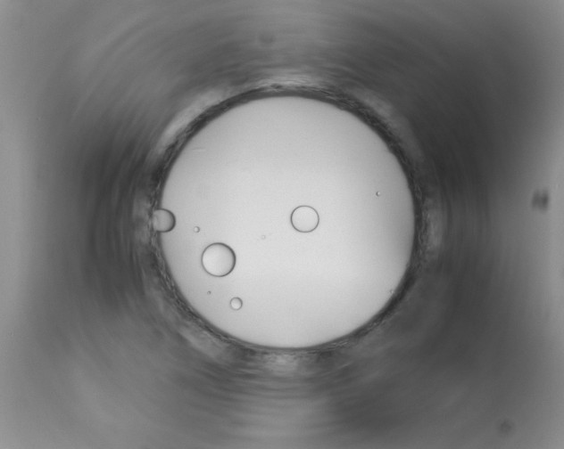 X0000113091266200910091248