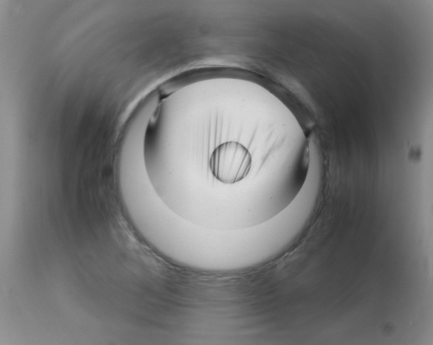 X0000113091268200910091248