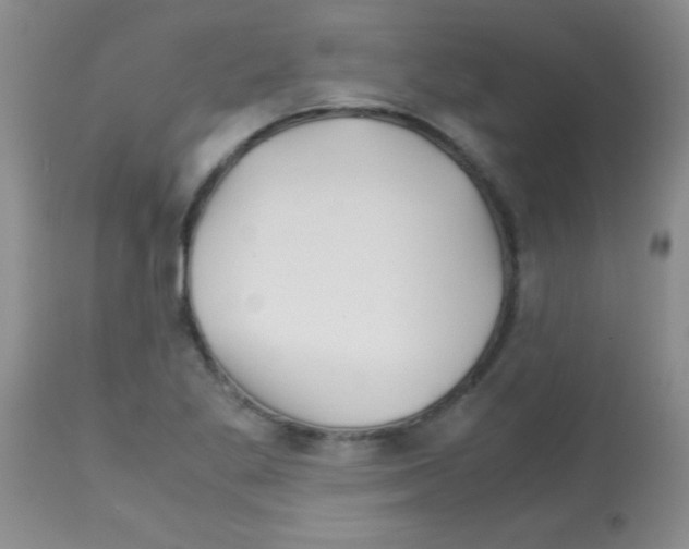 X0000113091269200910091248