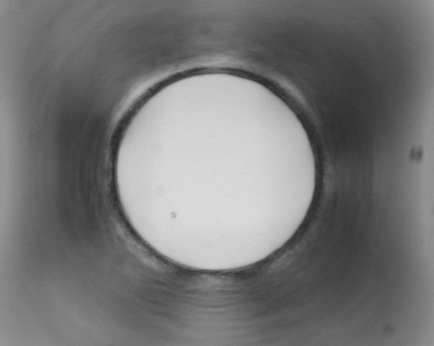 X0000113091270200910091248