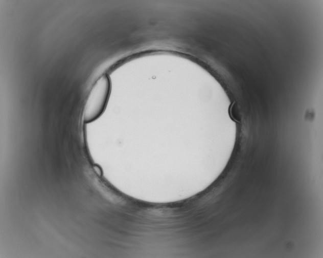 X0000113091272200910091248