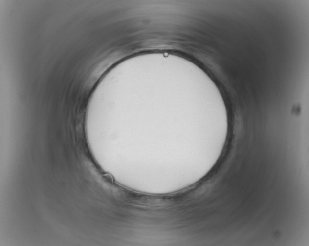 X0000113091273200910091248