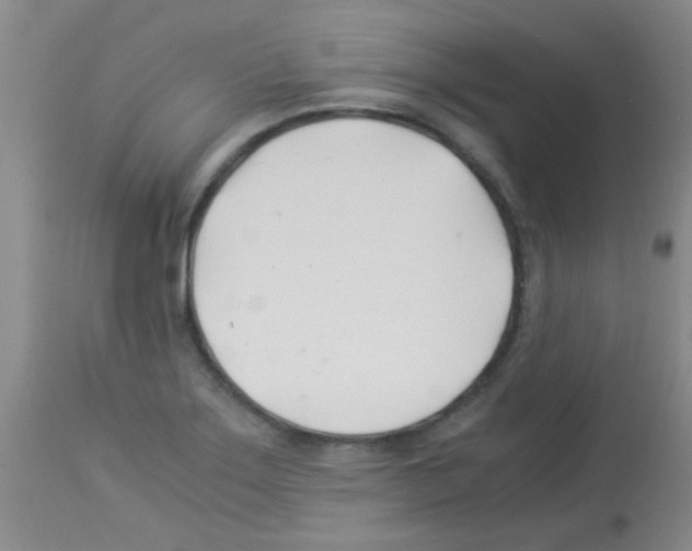 X0000113091275200910091248