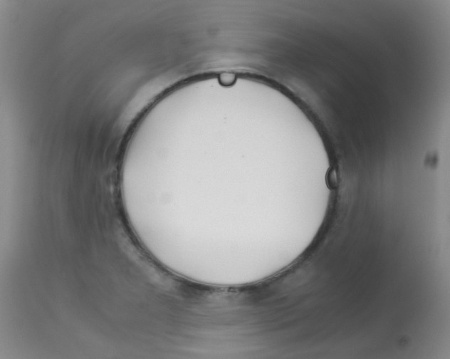 X0000113091277200910091248