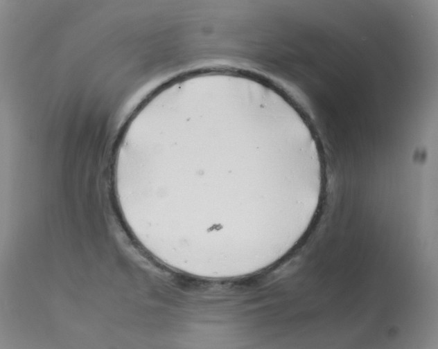 X0000113091279200910091248