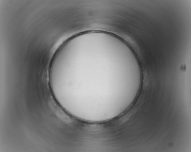 X0000113091280200910091248