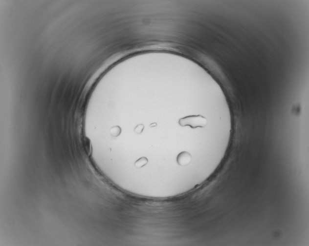 X0000113091284200910091248