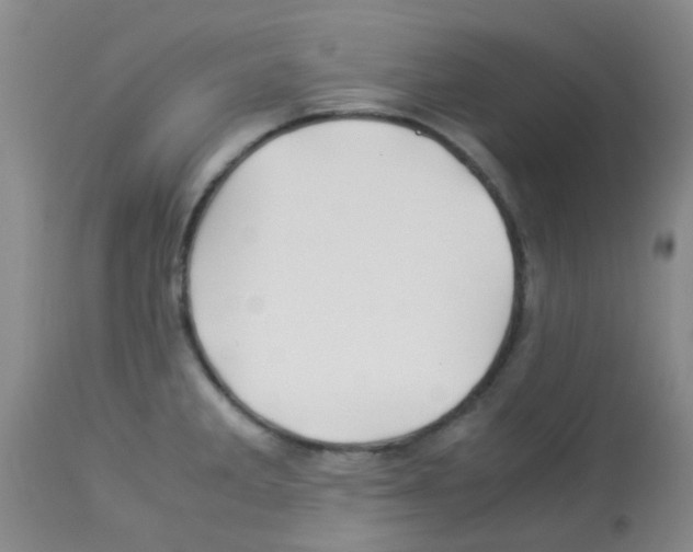 X0000113091285200910091248