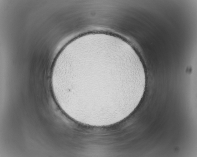 X0000113091287200910091248
