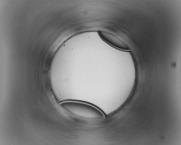 X0000113091289200910091248