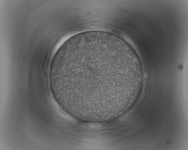 X0000113091291200910091248