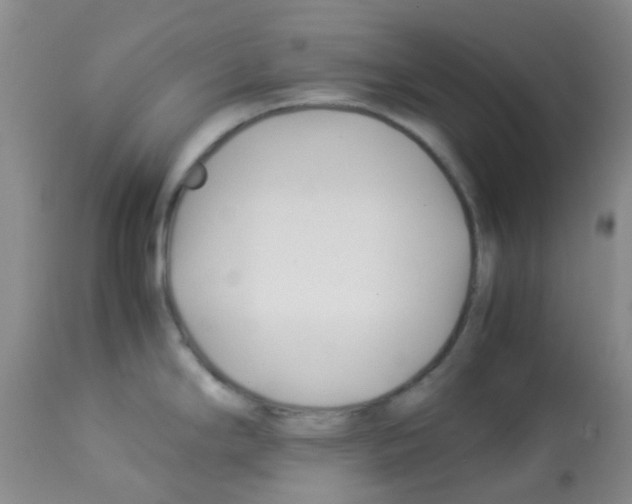 X0000113091294200910091248