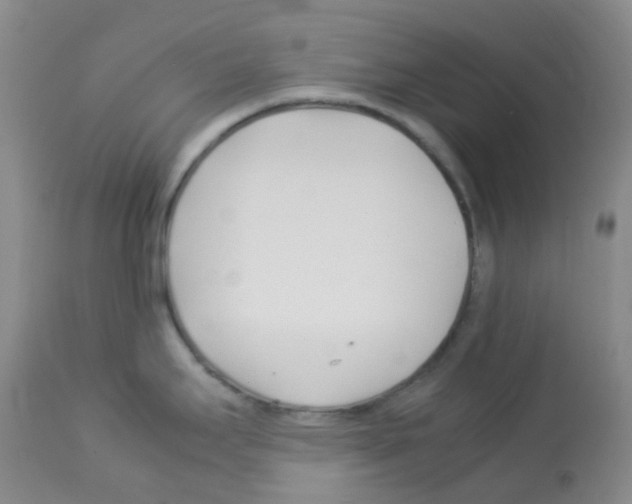 X0000113091295200910091248