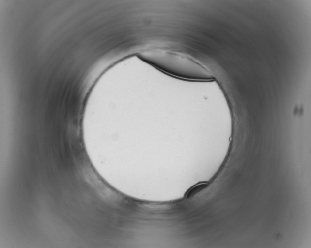 X0000113091296200910091248
