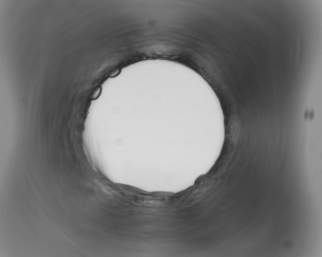 X0000113091297200910091247