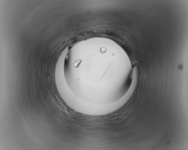 X0000113091298200910091247