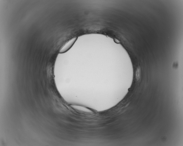 X0000113091299200910091247
