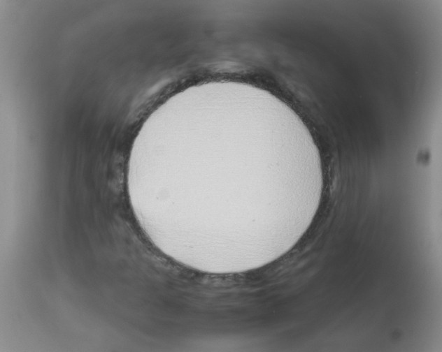 X0000113091301200910091247