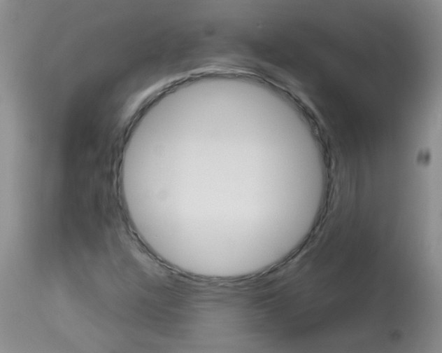 X0000113091304200910091247