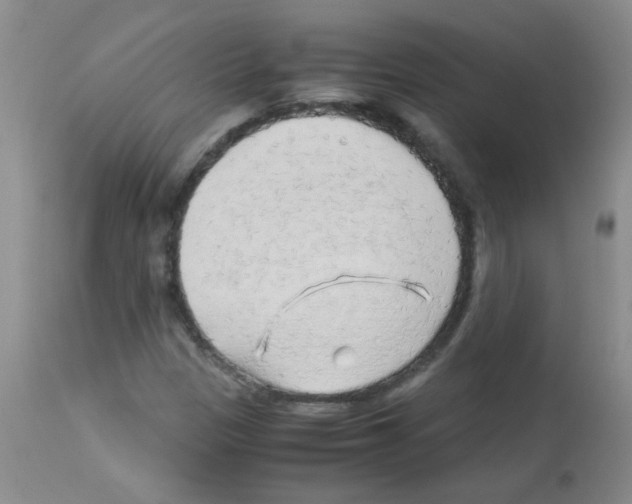 X0000113091305200910091247