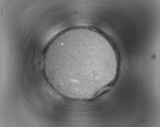 X0000113091306200910091247