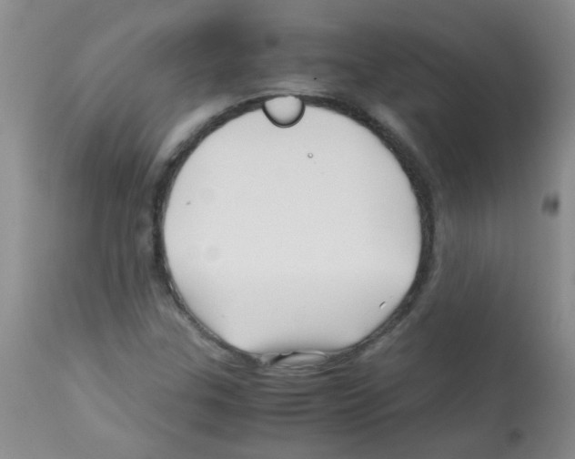 X0000113091307200910091247
