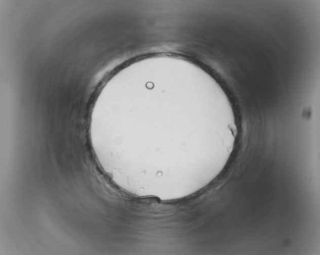 X0000113091308200910091247