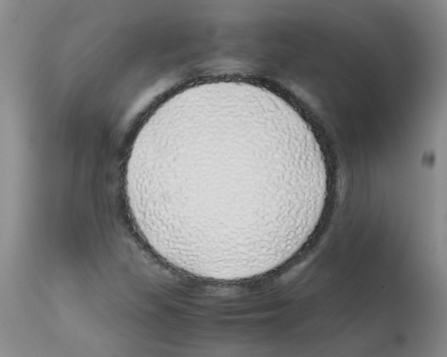 X0000113091309200910091247