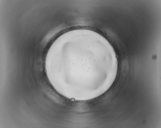 X0000113091310200910091247