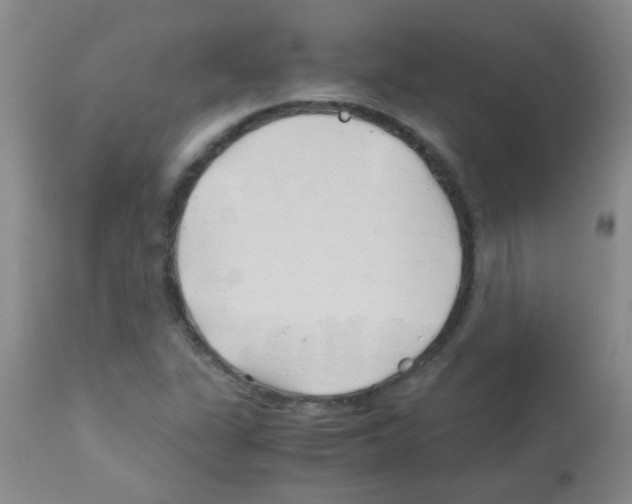 X0000113091311200910091247