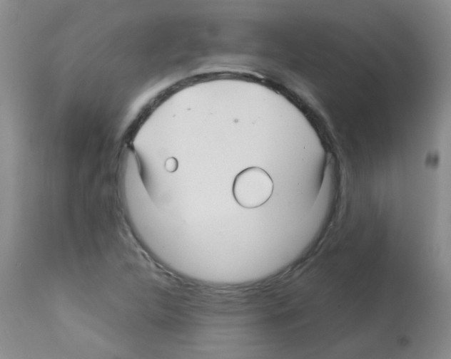 X0000113091312200910091247